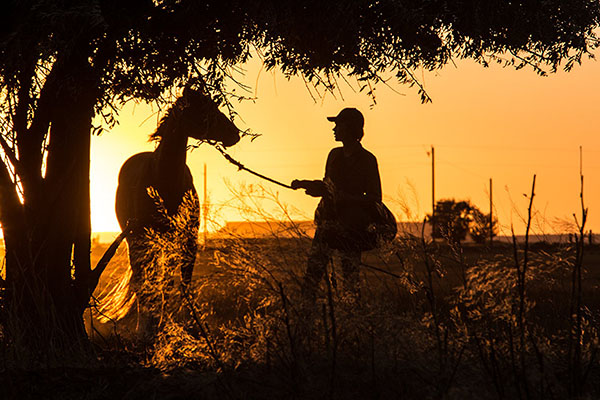 Charlie Plummer in Lean on Pete. Photo by Scott Patrick Green - © Lean on Pete LLC